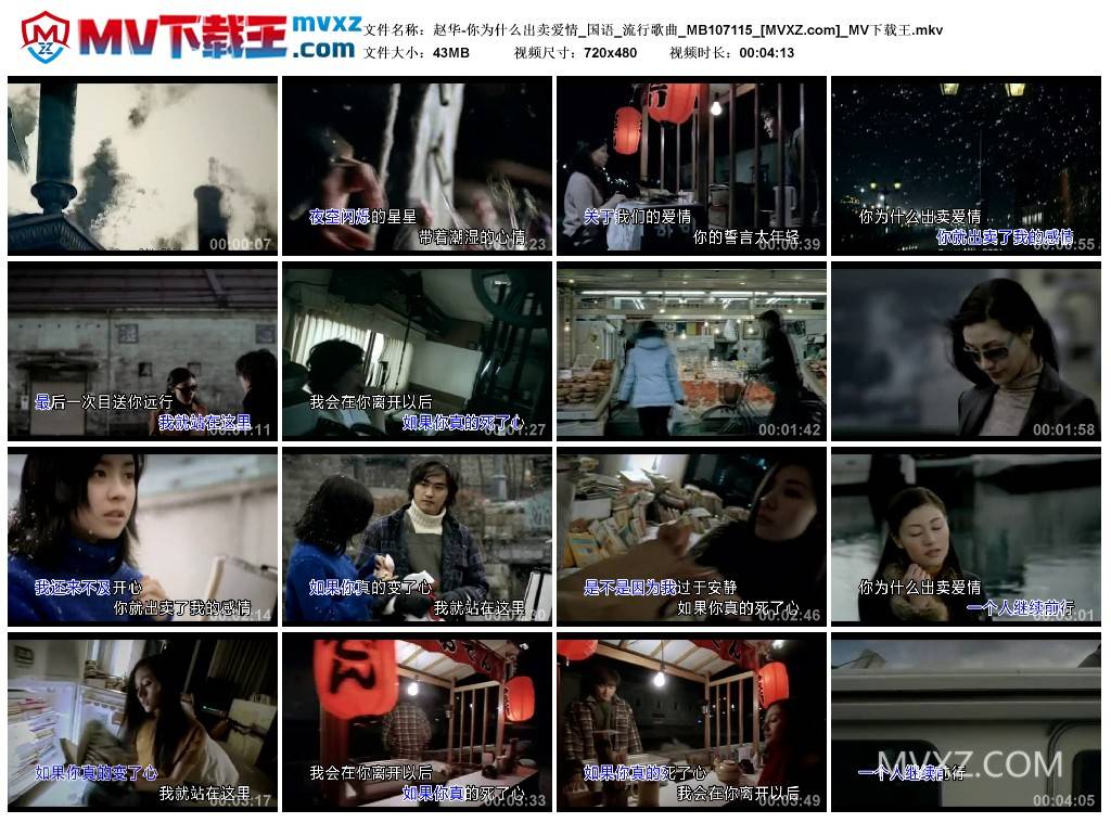 赵华-你为什么出卖爱情_国语_流行歌曲_MB107115